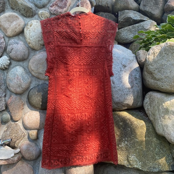 Ministry of style burnt orange lace dress - Picture 7 of 10